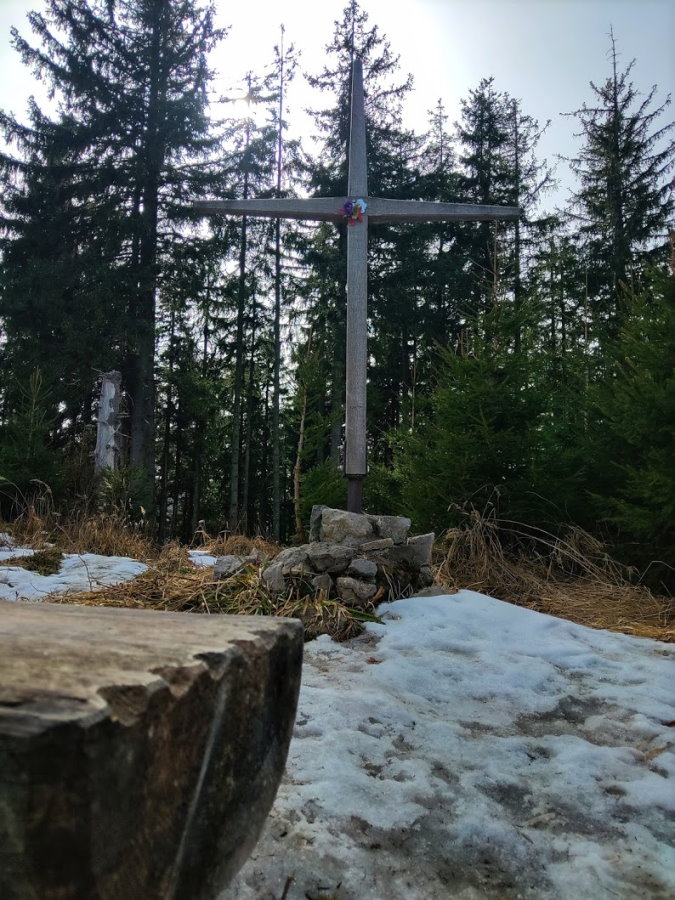 Sternplatte 1261m