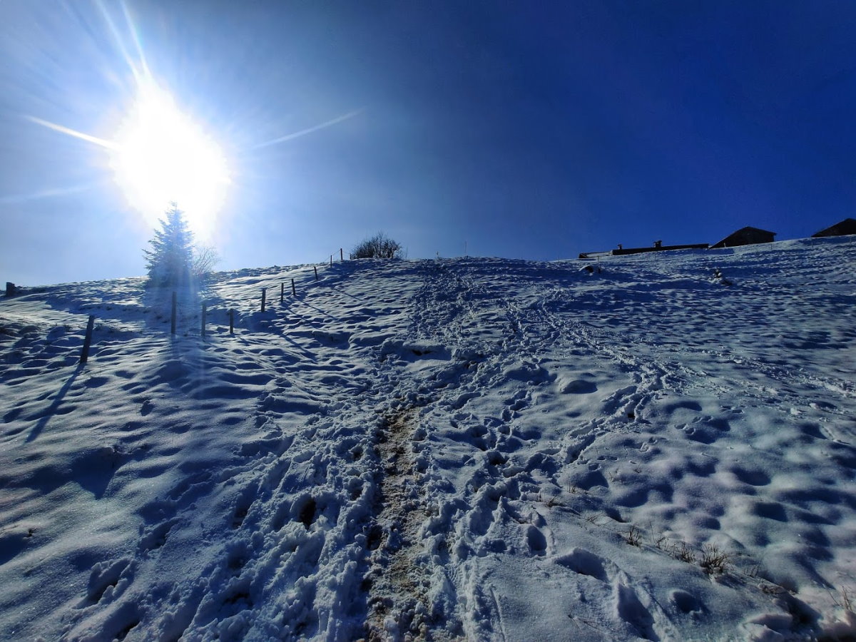 Schwarzenberg 1187m