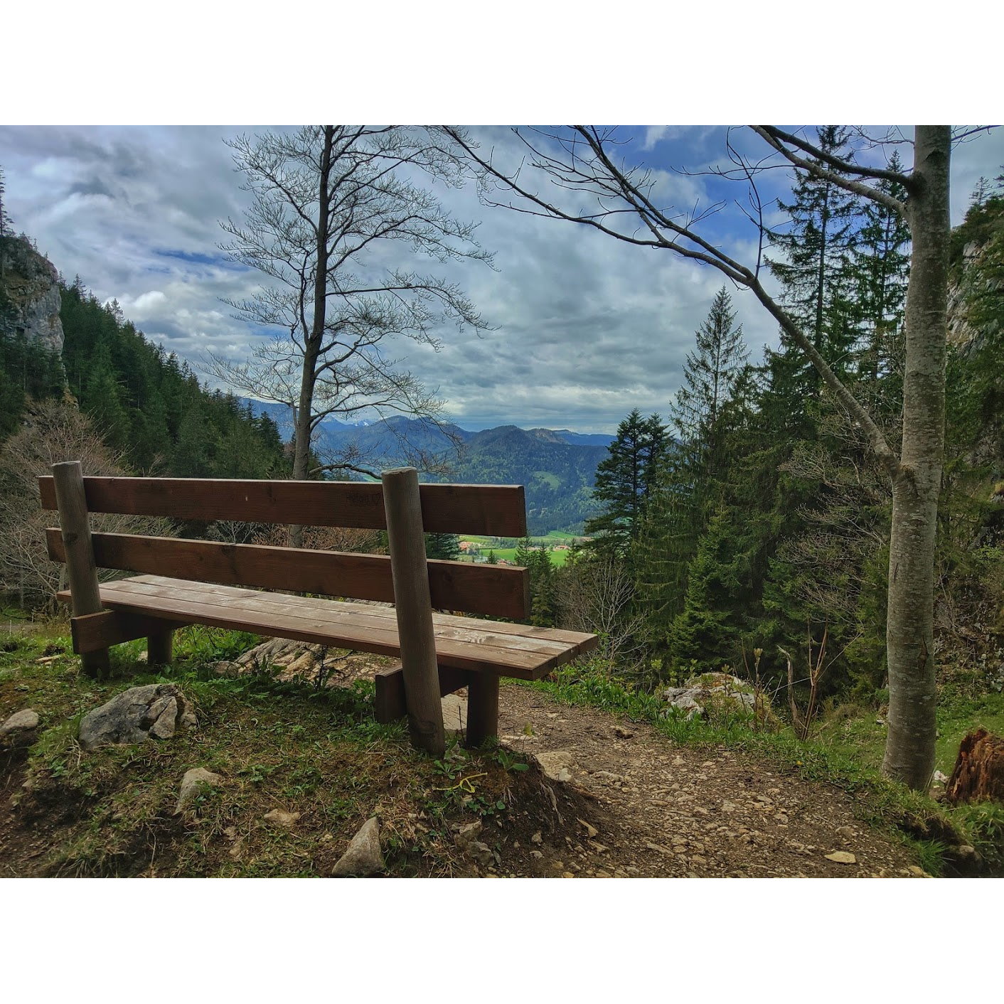 Bank with a view