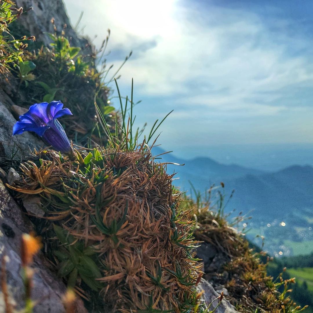Staffelstein, 1550m