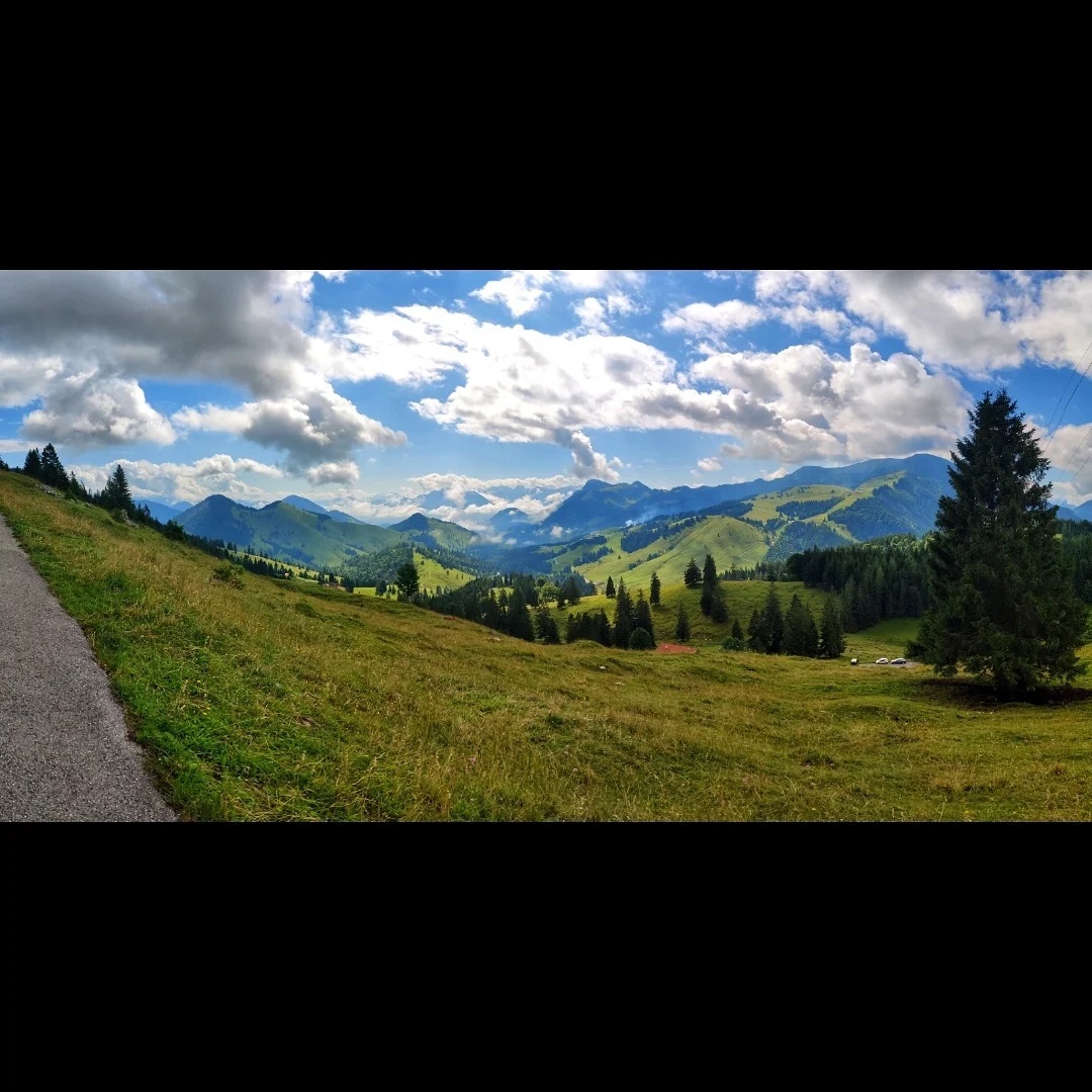 Wildalpjoch, 1675m